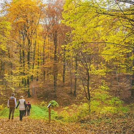 Grosse Fuer 6 Personen By Interhome Apartament Zalakaros