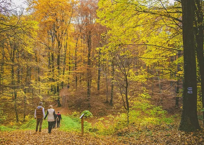 Grosse Fuer 6 Personen By Interhome アパート ザラカロシュ